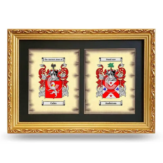 Double Coat of Arms Framed - Gold
