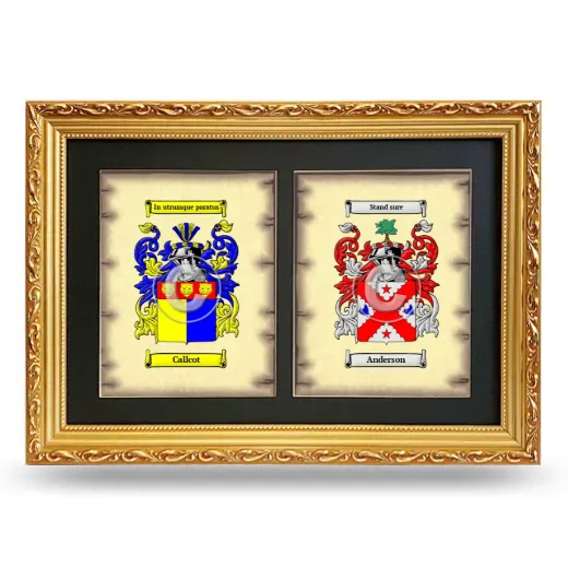 Double Coat of Arms Framed - Gold