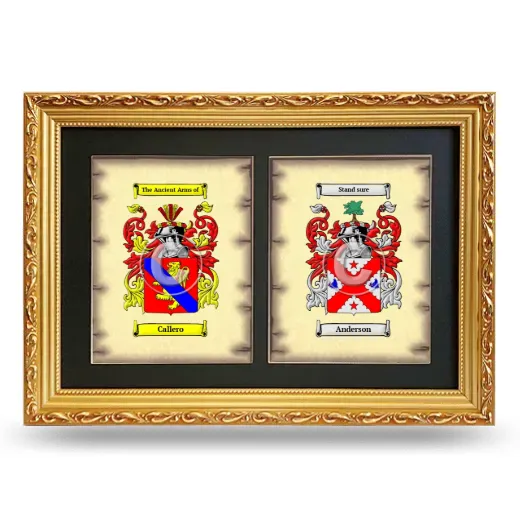 Double Coat of Arms Framed - Gold