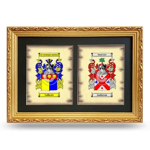 Double Coat of Arms Framed - Gold