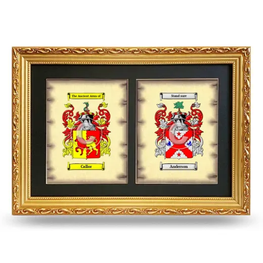Double Coat of Arms Framed - Gold