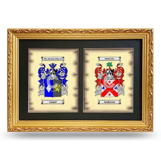 Double Coat of Arms Framed - Gold