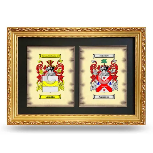 Double Coat of Arms Framed - Gold