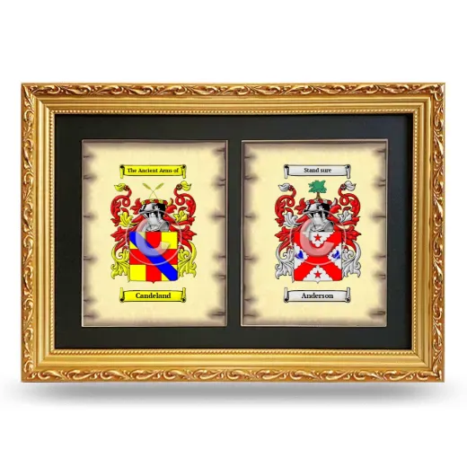 Double Coat of Arms Framed - Gold
