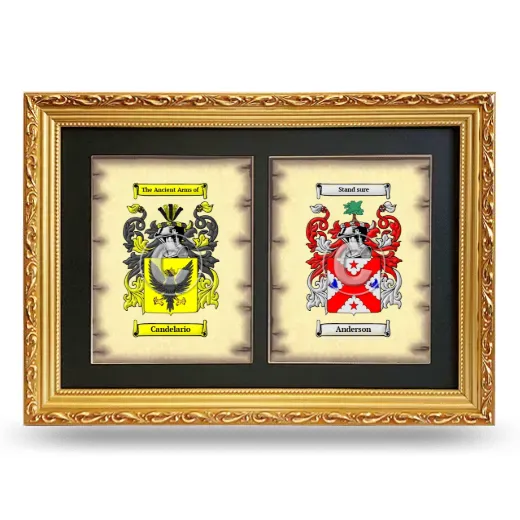 Double Coat of Arms Framed - Gold