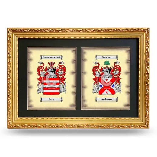 Double Coat of Arms Framed - Gold