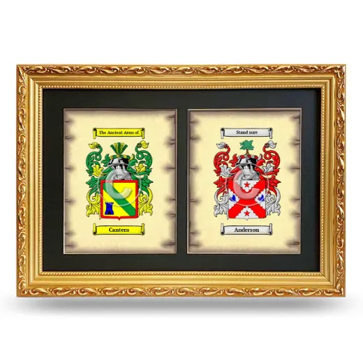 Double Coat of Arms Framed - Gold
