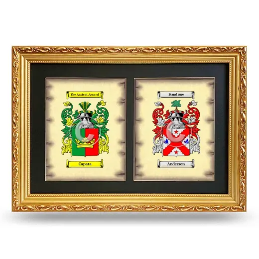 Double Coat of Arms Framed - Gold