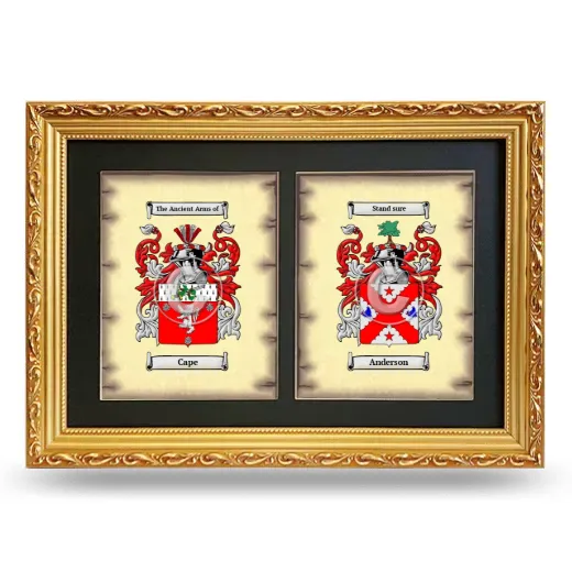 Double Coat of Arms Framed - Gold