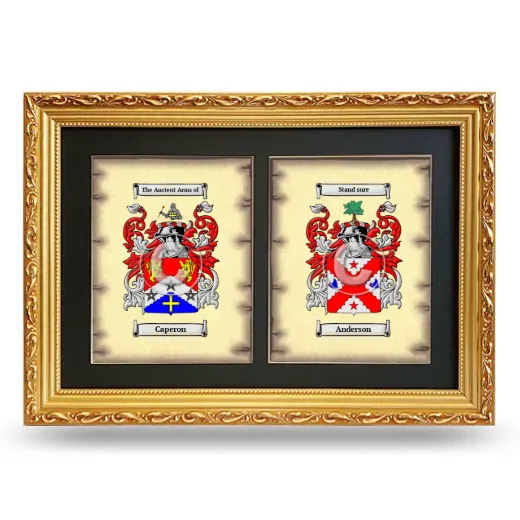 Double Coat of Arms Framed - Gold