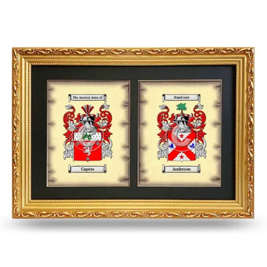 Double Coat of Arms Framed - Gold