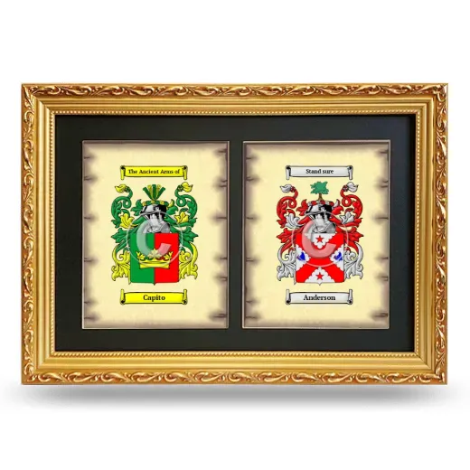 Double Coat of Arms Framed - Gold