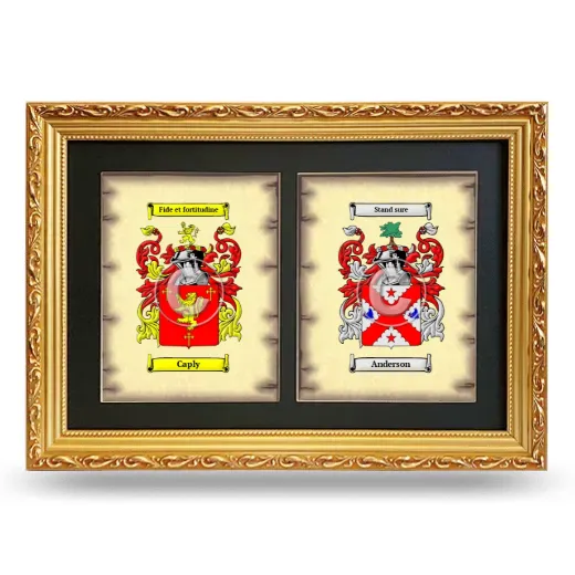 Double Coat of Arms Framed - Gold