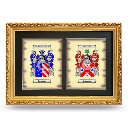Double Coat of Arms Framed - Gold