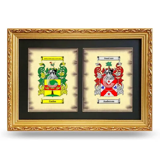 Double Coat of Arms Framed - Gold