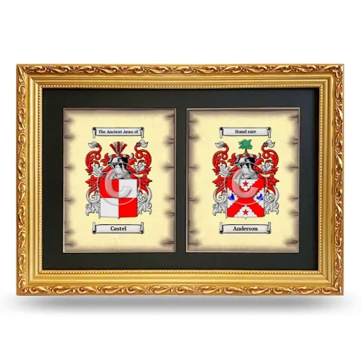 Double Coat of Arms Framed - Gold