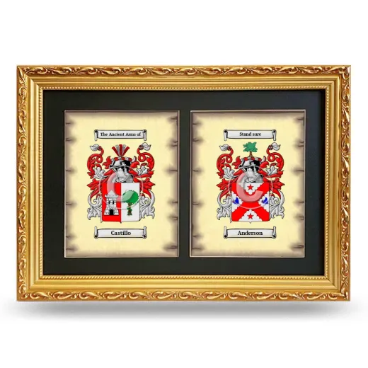 Double Coat of Arms Framed - Gold