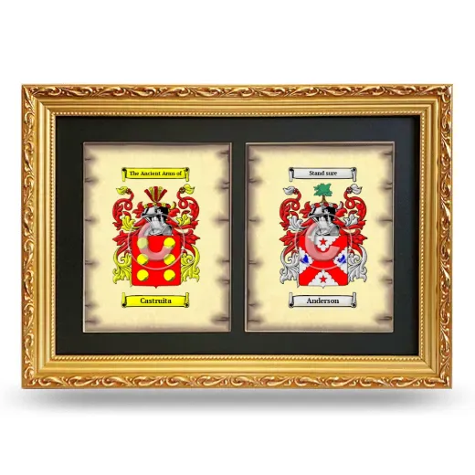 Double Coat of Arms Framed - Gold