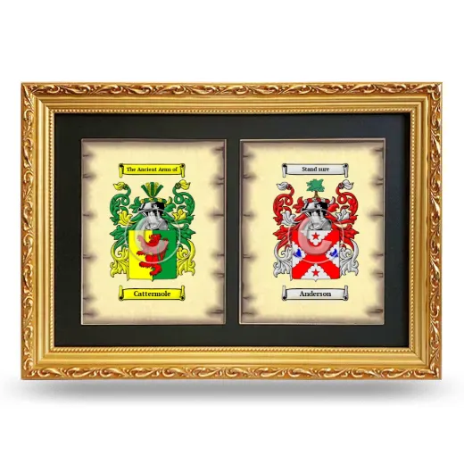 Double Coat of Arms Framed - Gold