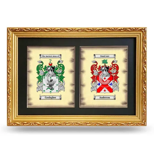 Double Coat of Arms Framed - Gold