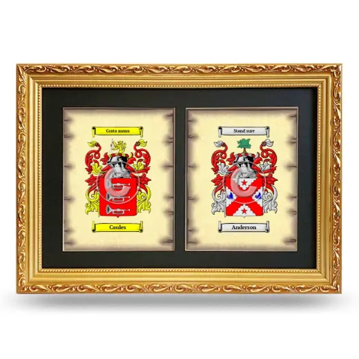 Double Coat of Arms Framed - Gold