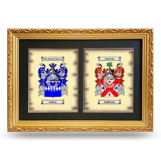Double Coat of Arms Framed - Gold