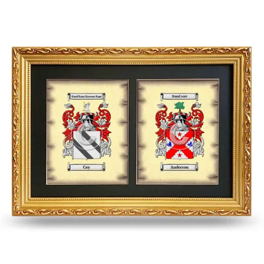 Double Coat of Arms Framed - Gold