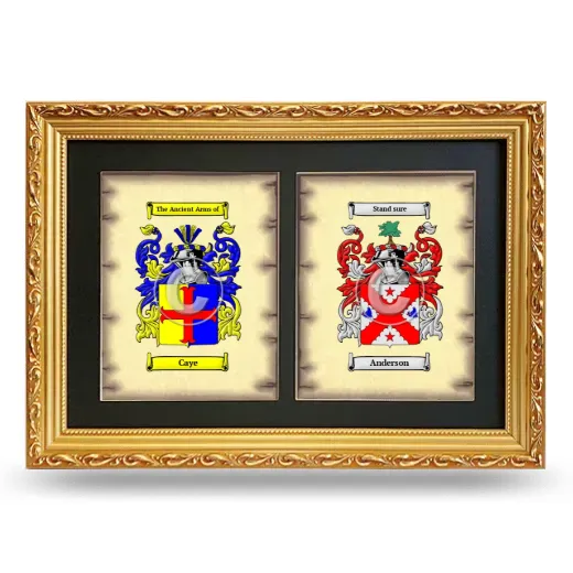 Double Coat of Arms Framed - Gold