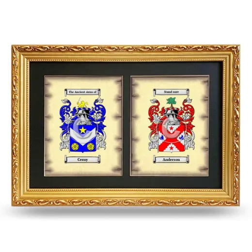 Double Coat of Arms Framed - Gold