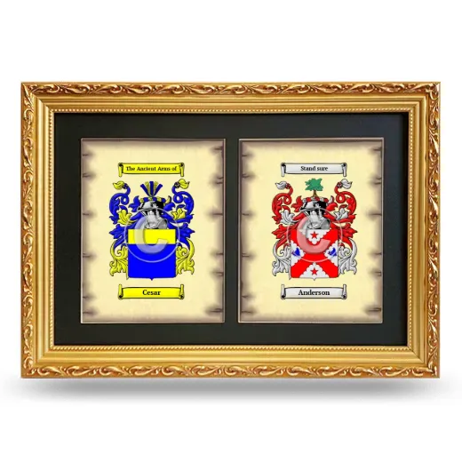 Double Coat of Arms Framed - Gold
