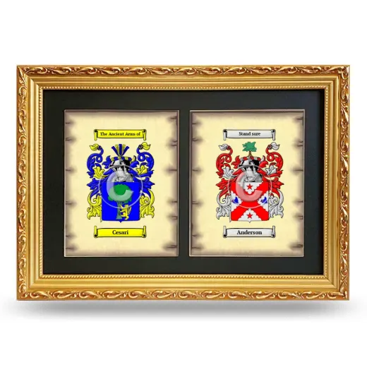 Double Coat of Arms Framed - Gold