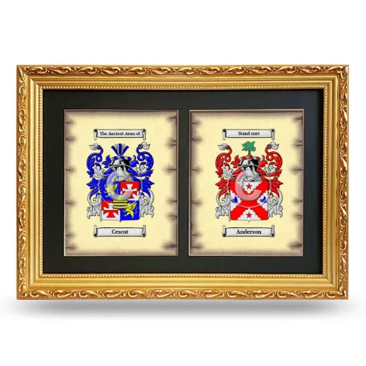 Double Coat of Arms Framed - Gold