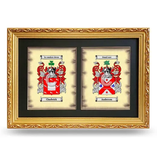 Double Coat of Arms Framed - Gold