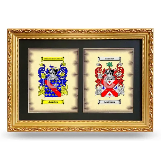 Double Coat of Arms Framed - Gold