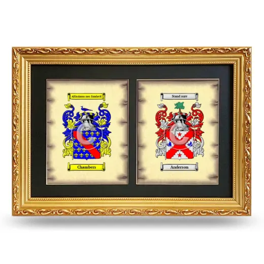 Double Coat of Arms Framed - Gold