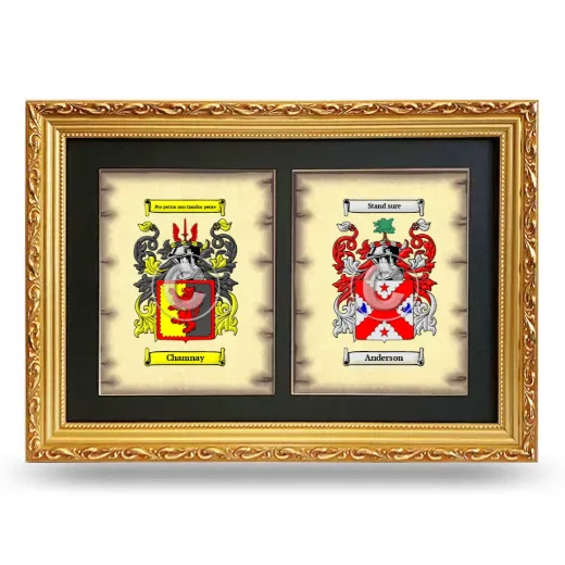 Double Coat of Arms Framed - Gold