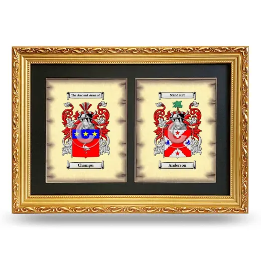 Double Coat of Arms Framed - Gold