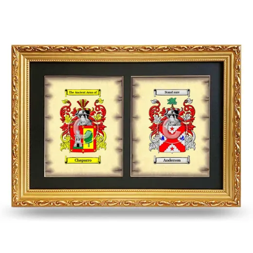 Double Coat of Arms Framed - Gold