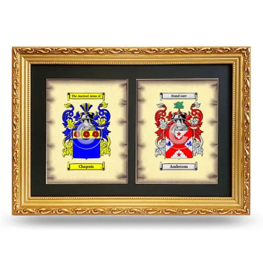 Double Coat of Arms Framed - Gold