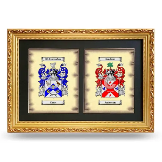 Double Coat of Arms Framed - Gold