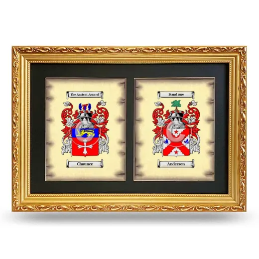 Double Coat of Arms Framed - Gold