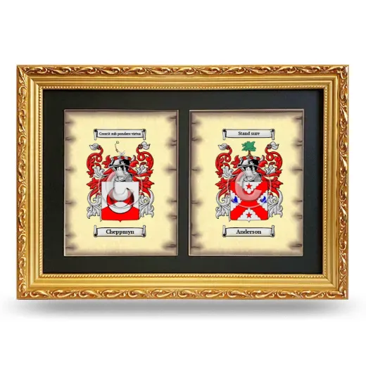 Double Coat of Arms Framed - Gold