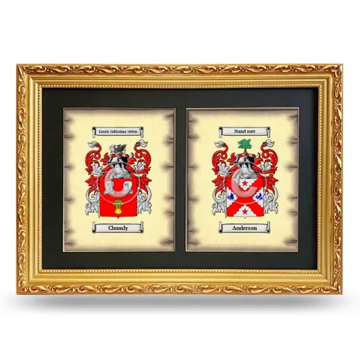 Double Coat of Arms Framed - Gold