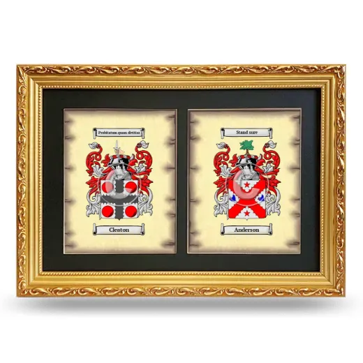 Double Coat of Arms Framed - Gold