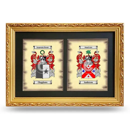 Double Coat of Arms Framed - Gold