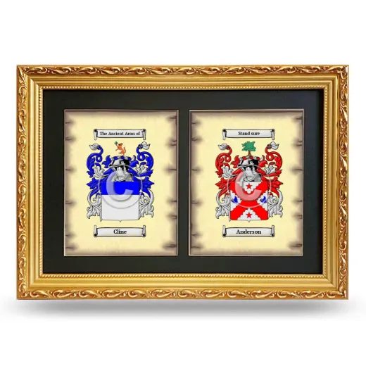 Double Coat of Arms Framed - Gold