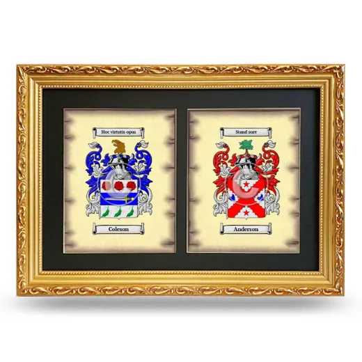Double Coat of Arms Framed - Gold
