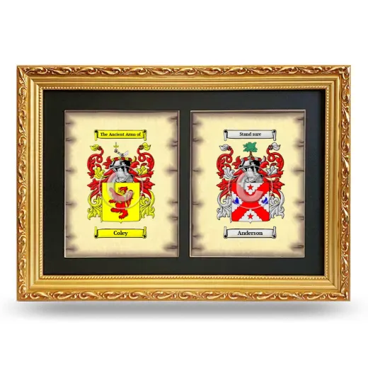 Double Coat of Arms Framed - Gold