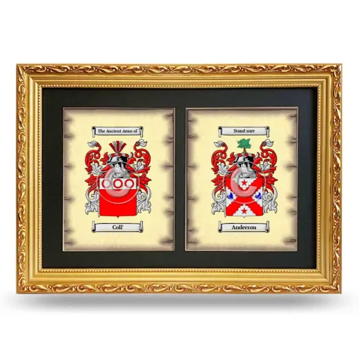 Double Coat of Arms Framed - Gold