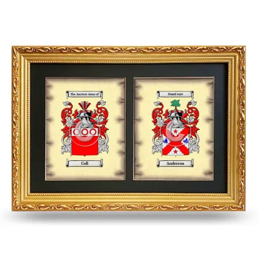 Double Coat of Arms Framed - Gold